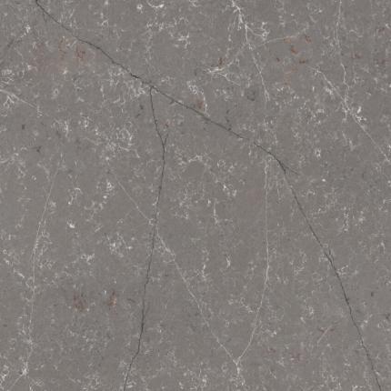 FOREST GARRIGUE  4020