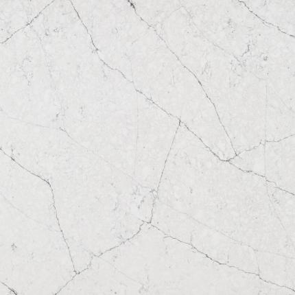 FOREST BETULLA  4010