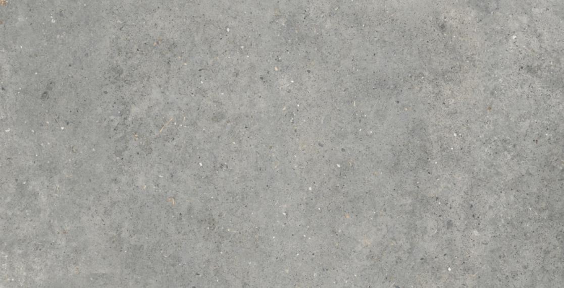 Pirenei Grey 